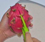 FruchtFix 3-in-1 Avocado- & Obstschneider